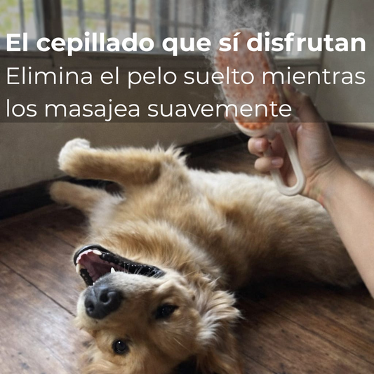 Cepillo de vapor 3 en 1 para gatos y perros.